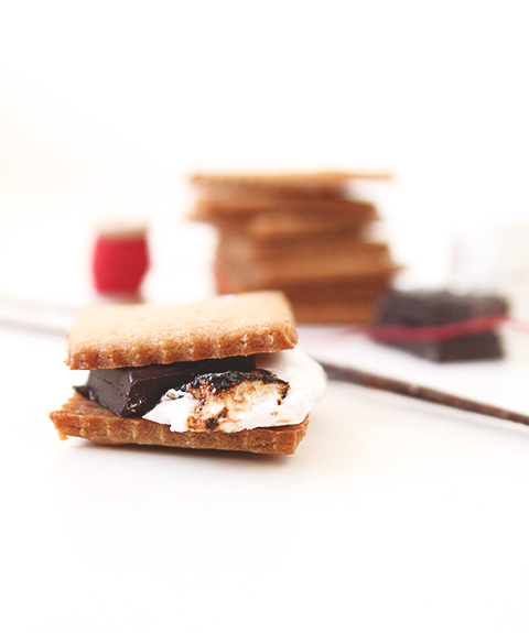 Graham Cracker and S'mores | The Fauxmartha