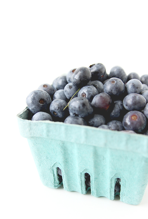 Blueberry Galette | The Fauxmartha