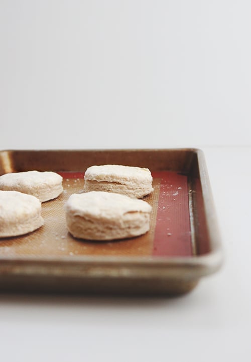 Weekend Biscuits with Wheat | The Fauxmartha