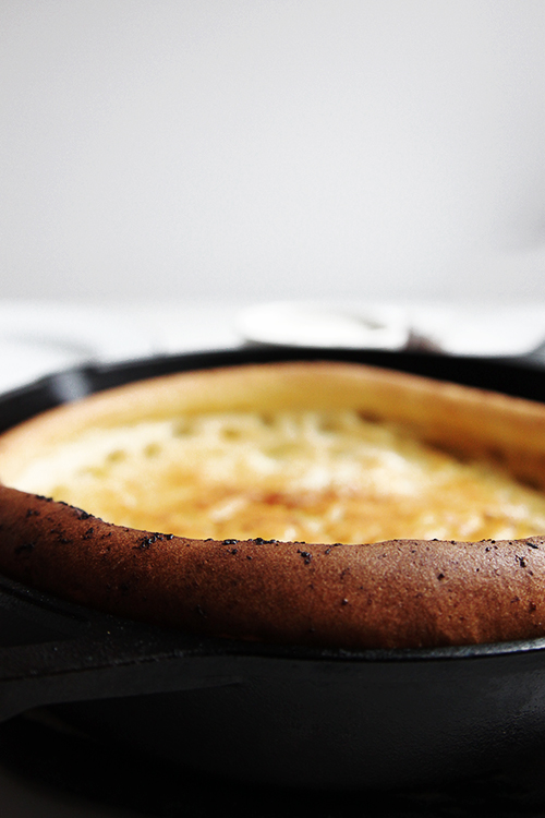 Blender Dutch Baby | @thefauxmartha