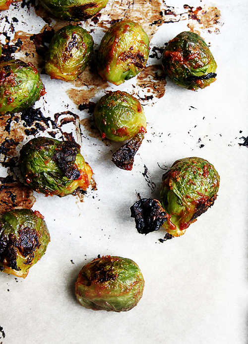 Brussels Sprouts Roasted in a Peanut Harissa Sauce | @thefauxmartha