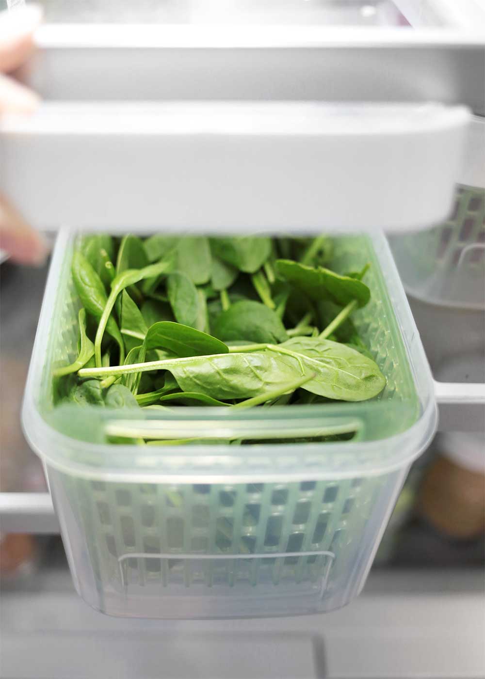 The Minimalist Fridge with OXO green savers and The Fauxmartha