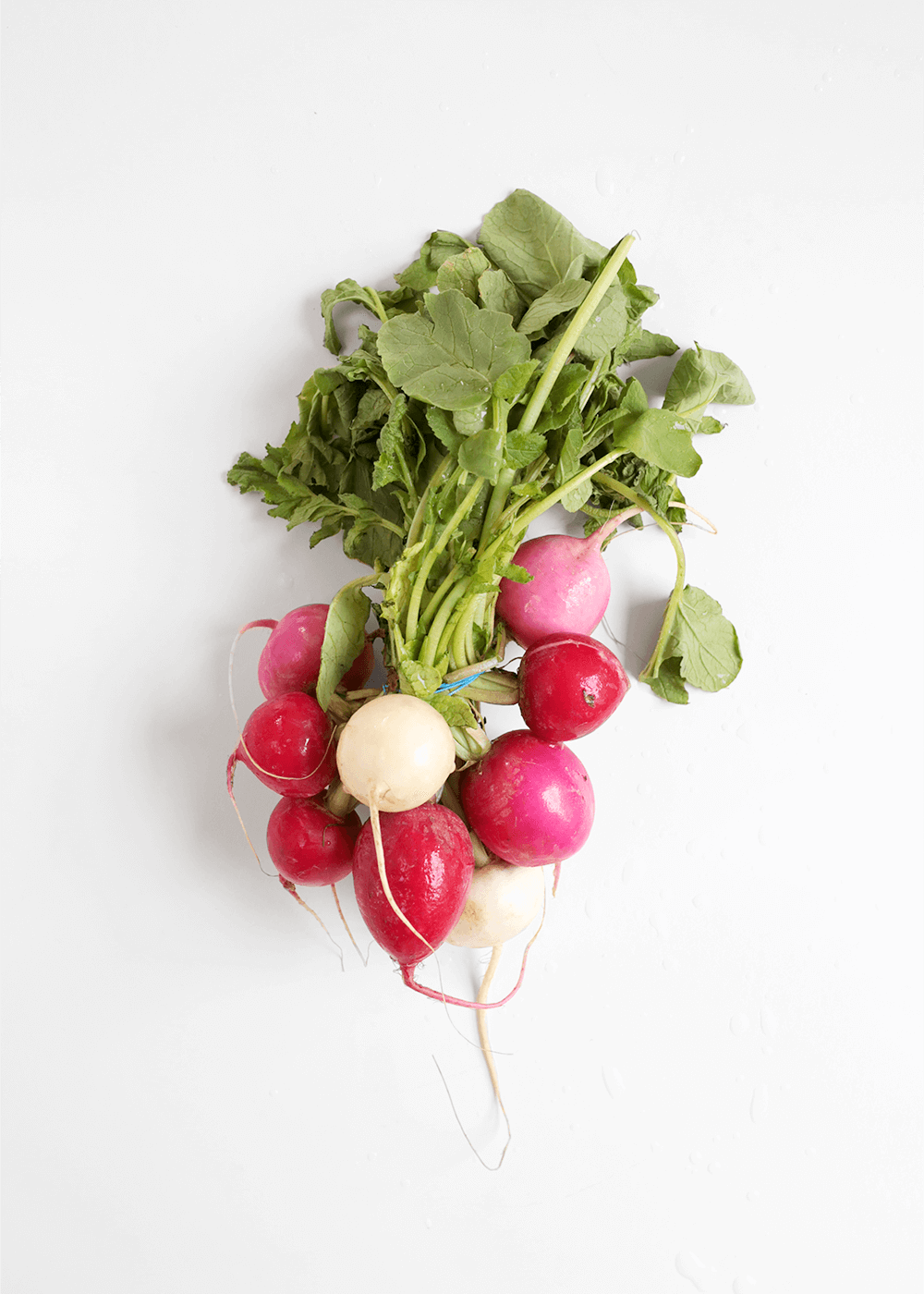 spring radishes