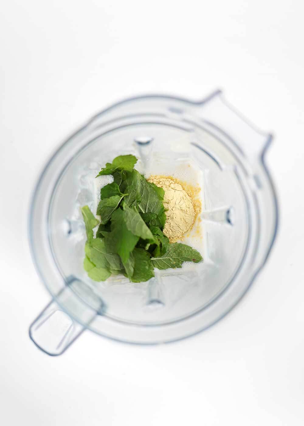 Blender Mint Chip Ice Cream from The Faux Martha
